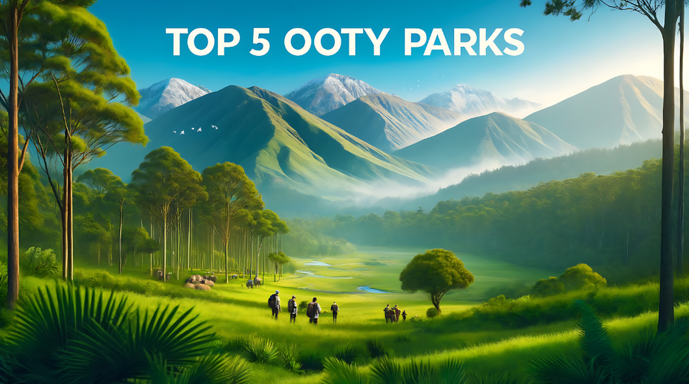Top 5 National Parks Near Ooty for Summer Visits