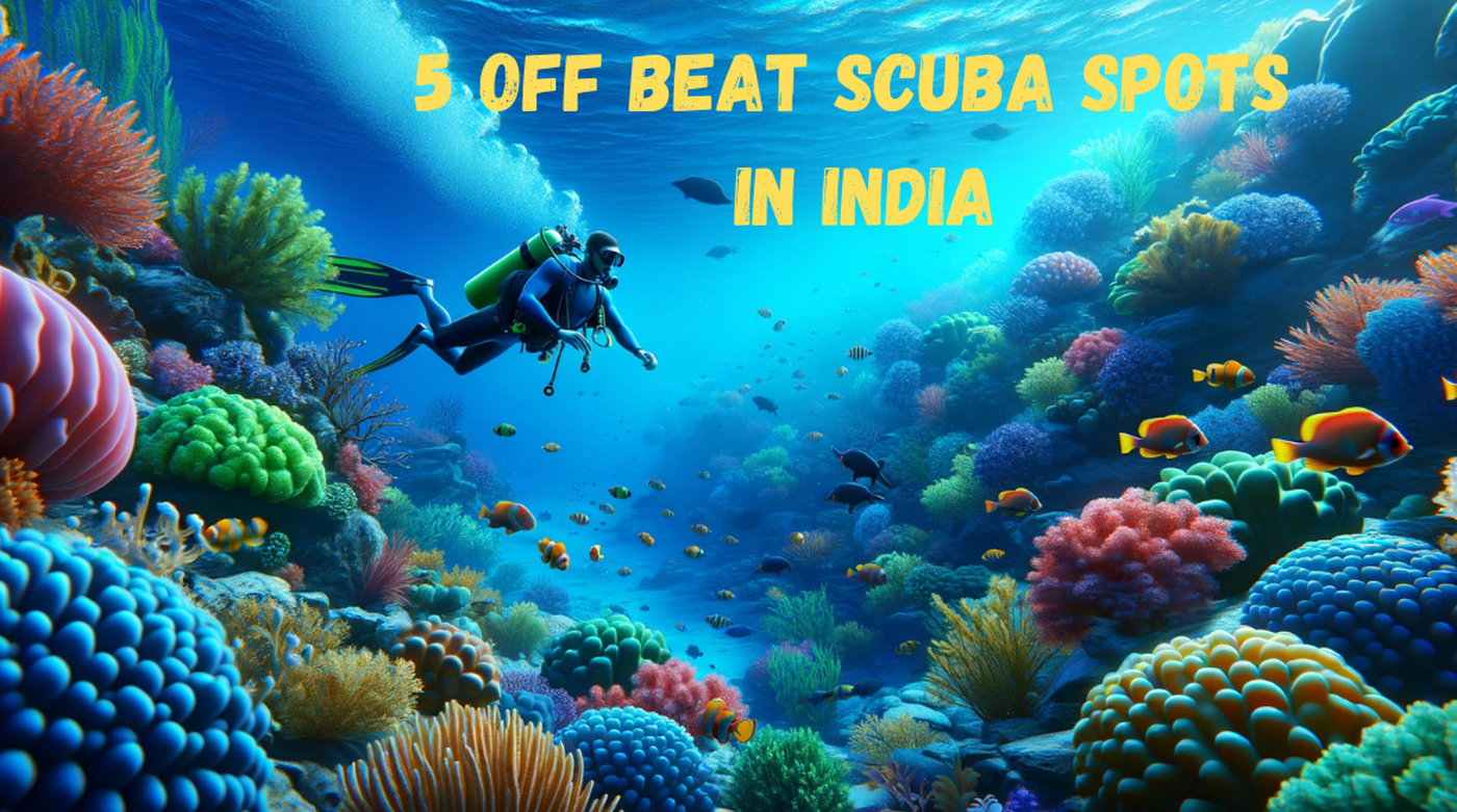 Explore These 5 Offbeat Scuba Diving Spots in India