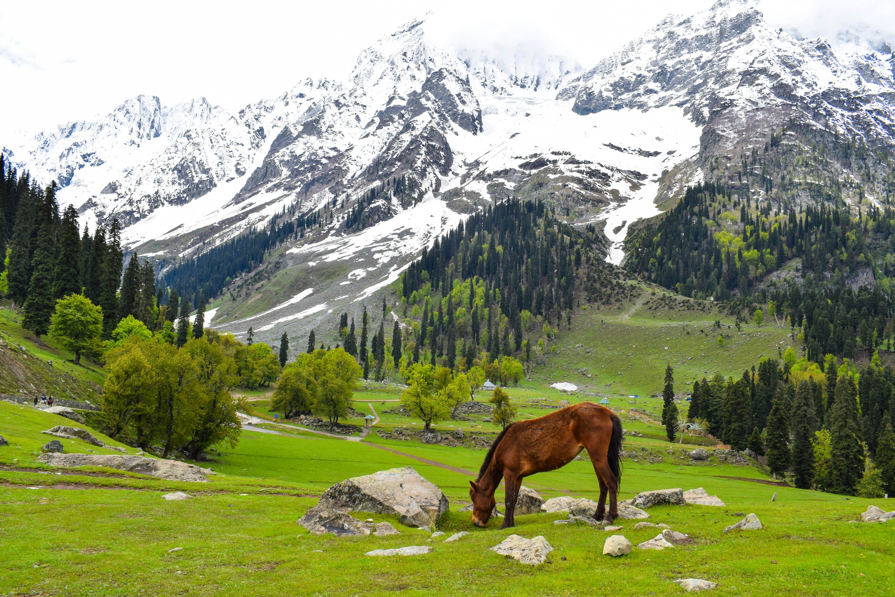 Why Now Is The Time To Return To Kashmir