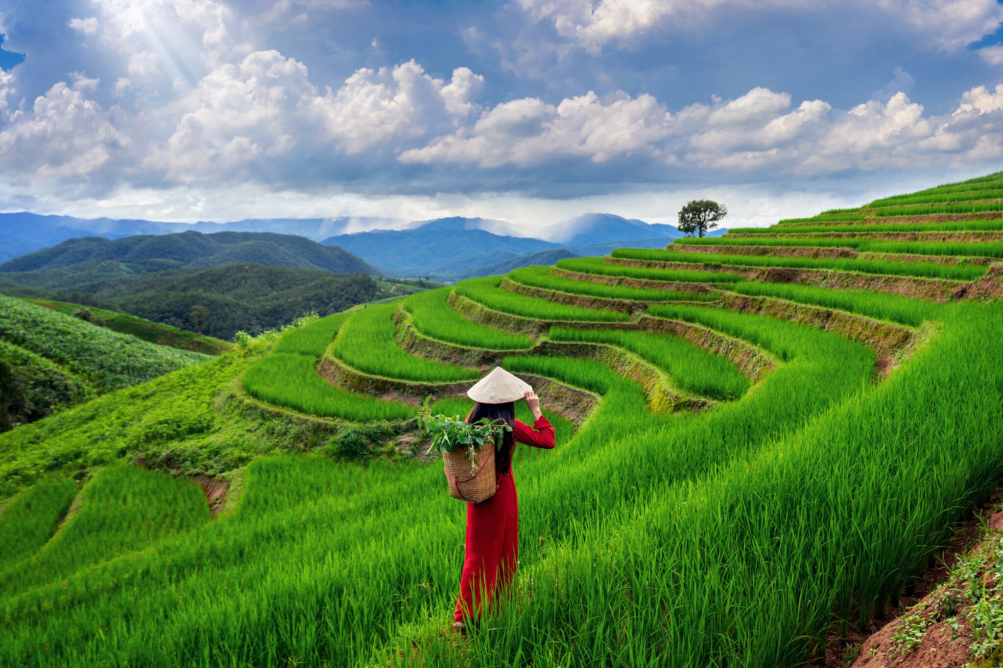 Inside The Postcard Durrung: Assam’s Hidden Tea Estate Retreat