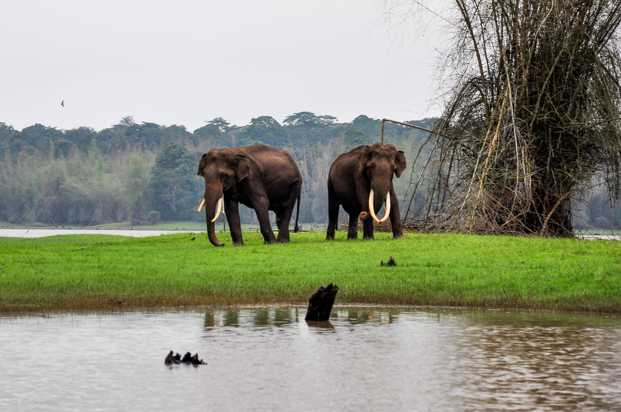 Stay in a Treehouse, Cruise a River, and Walk Through Clouds – All in One Trip