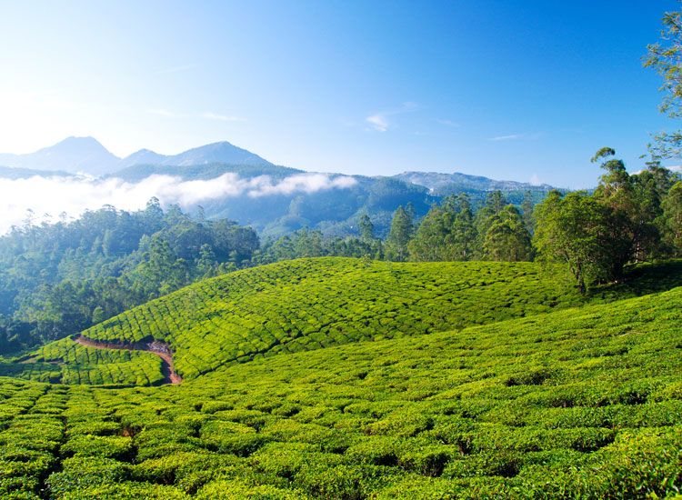 Best Places in India to Experience the Monsoon Season