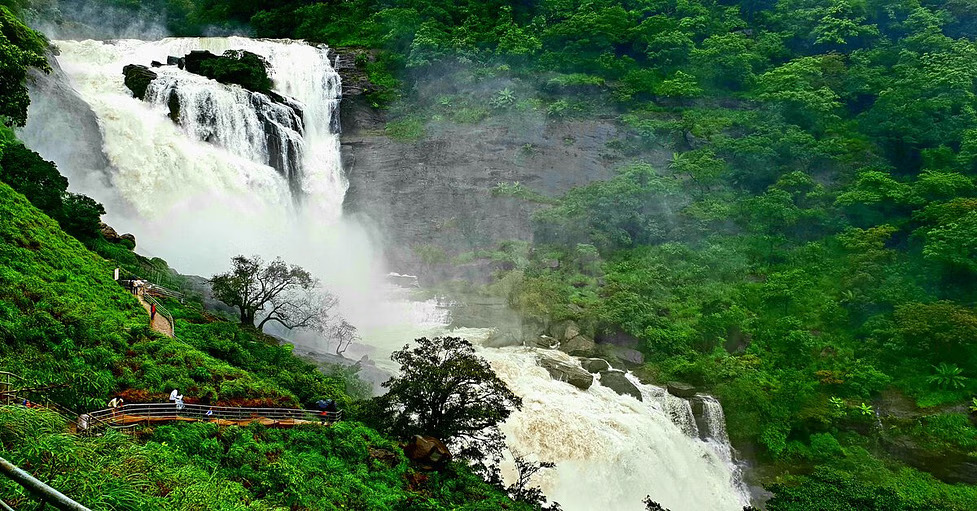 8 Best Places to Visit in Coorg During Monsoon