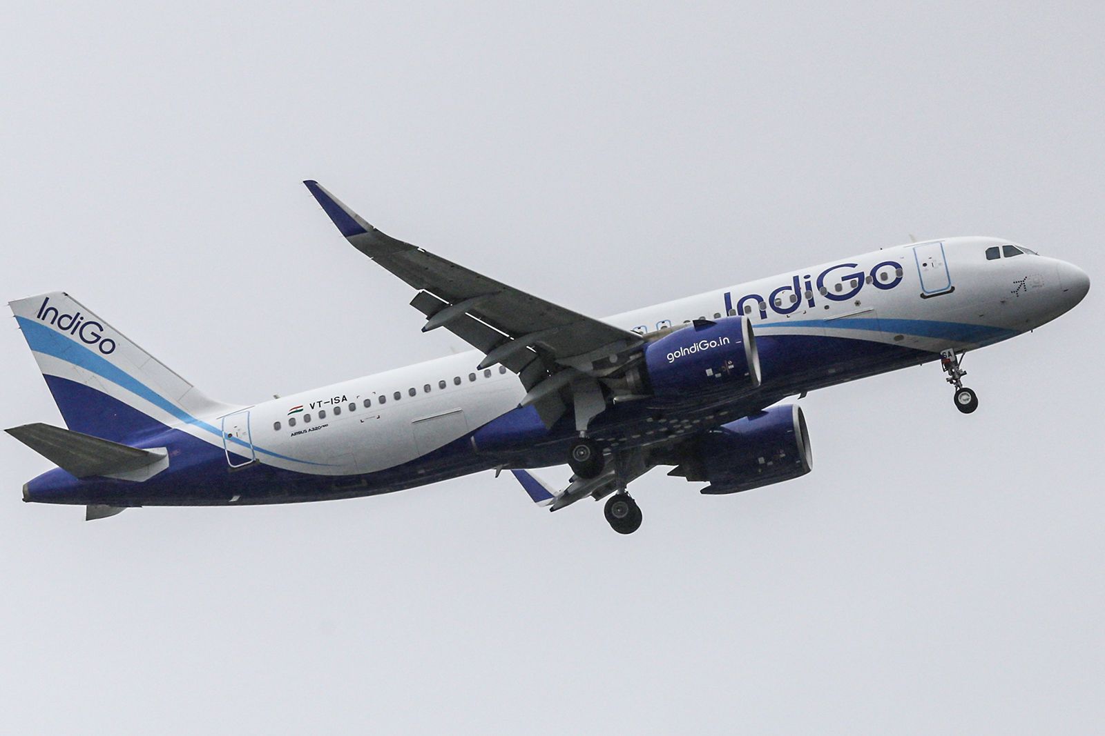 Swarm of Bees Delays IndiGo Flight from Surat to Jaipur by Nearly an Hour