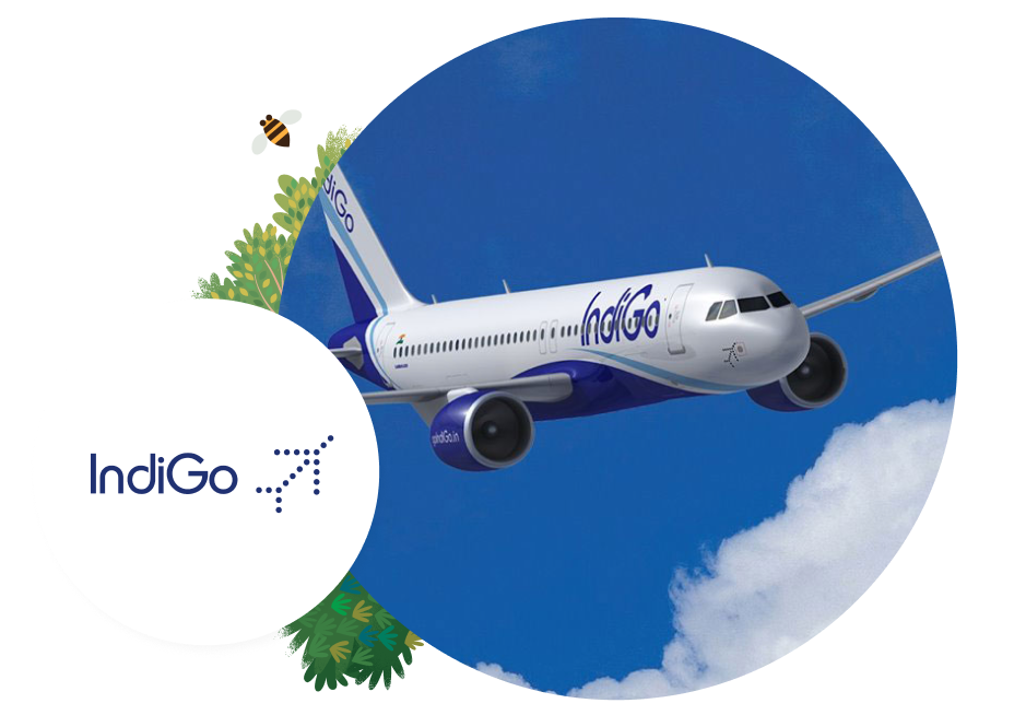 IndiGo Patna to Delhi Flight Cancelled After Bird Strike Triggers Emergency Return