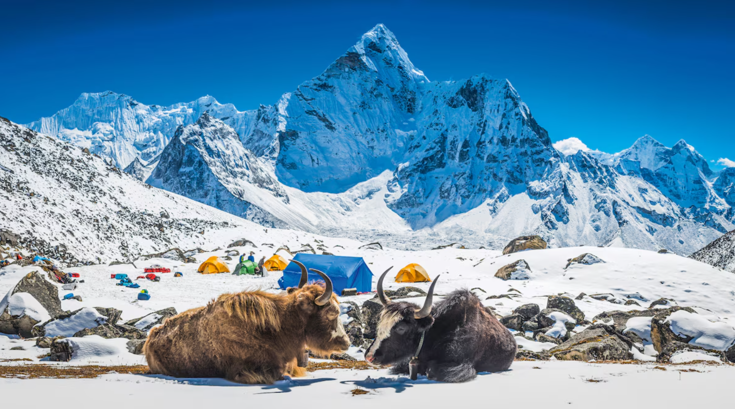 5 Sacred Temples in the Himalayas Every Spiritual Traveller Should Visit