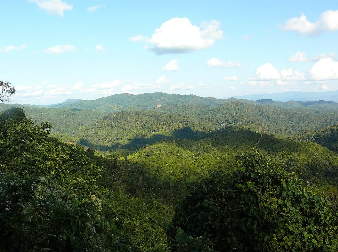 Manipur Bans Unauthorised Entry Into Reserved Forests to Protect Fragile Ecosystems