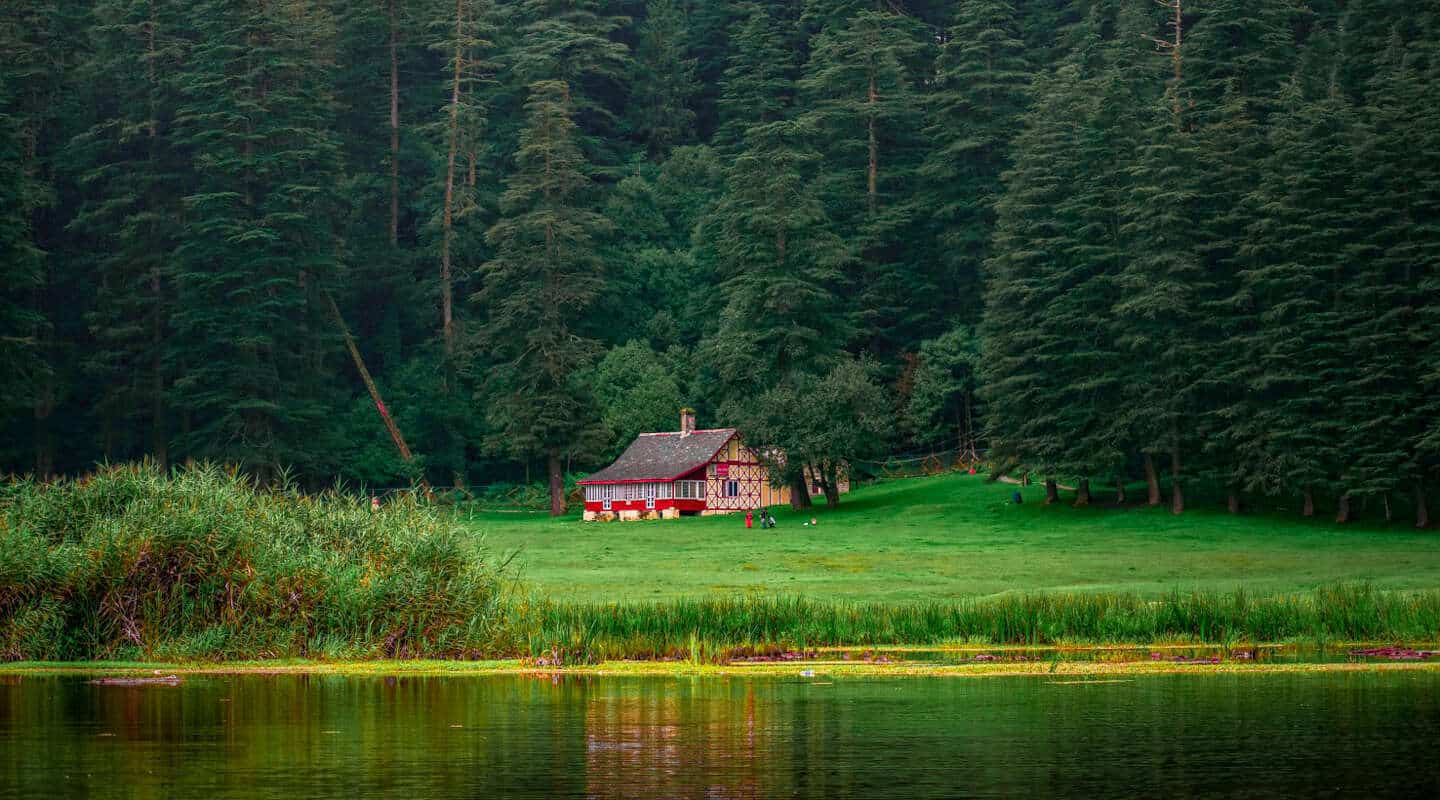 7 Hill Stations in India You Will Want to Visit Again and Again