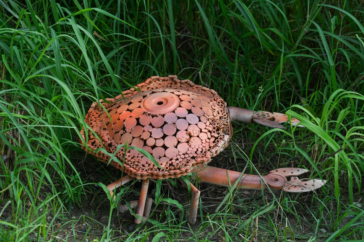 Waste to Wonder Noida’s Eco Friendly Sculpture Park Brings Wildlife Alive in Metal
