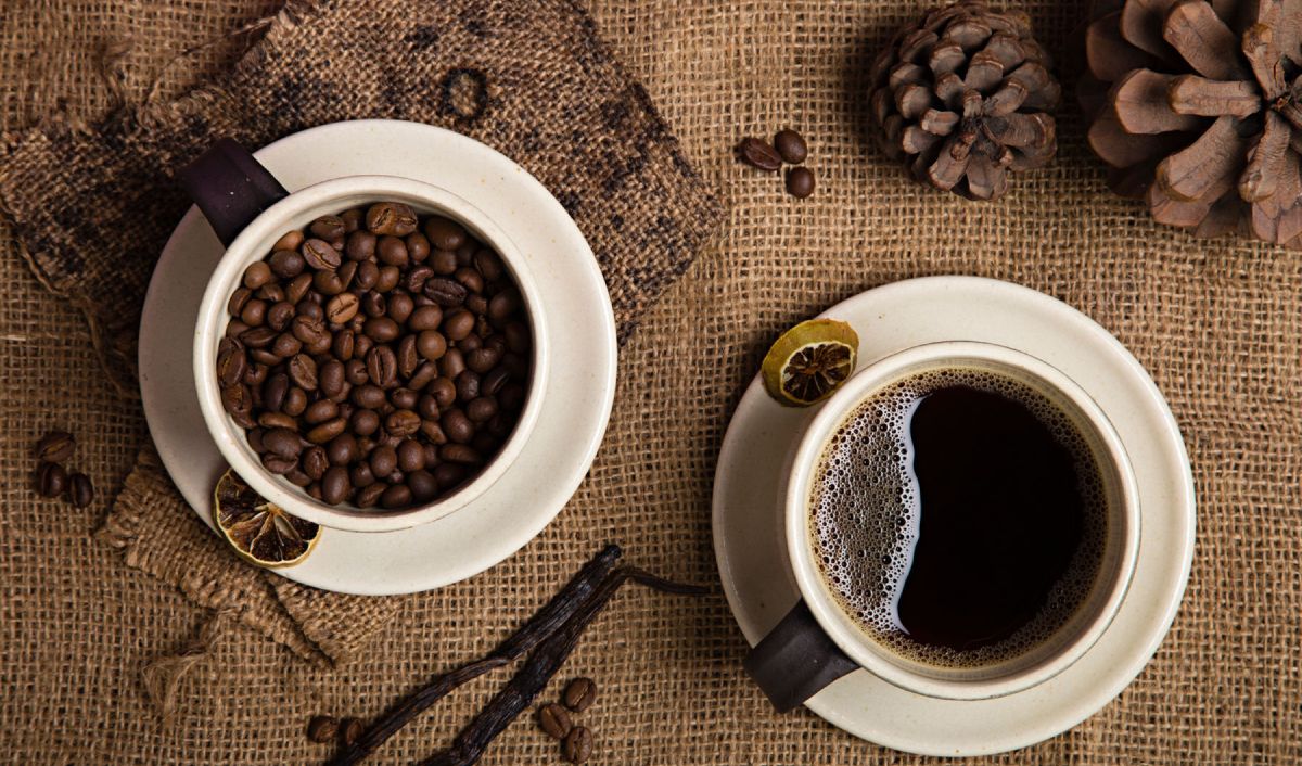 World Coffee Day 2025: Best Coffee Estate Stays In India For Brews And Views