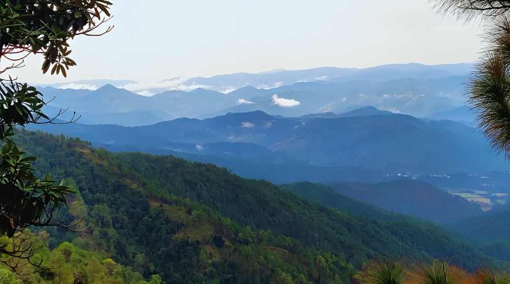 Escape The Crowds: Discover Binsar, Uttarakhand’s Hidden Gem Near Delhi