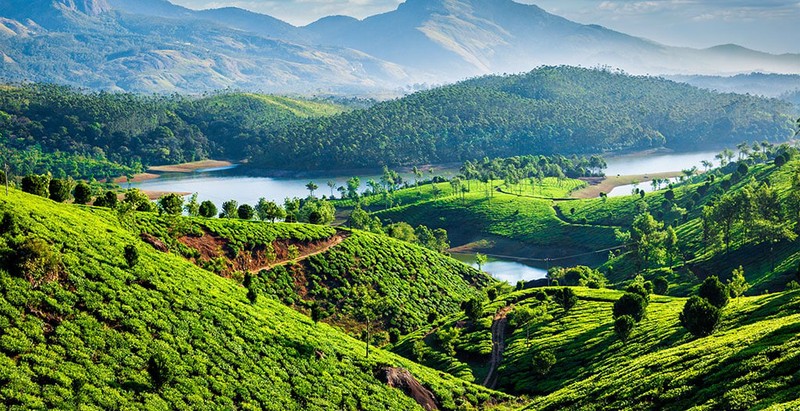 Stunning Hill Stations in South India That You Must Visit